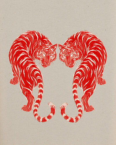 Red Tiger Symmetry Animaux reproduction