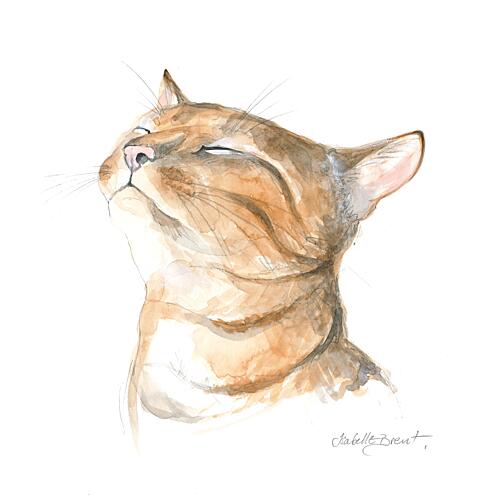 Serene Tabby Cat Aquarelle reproduction