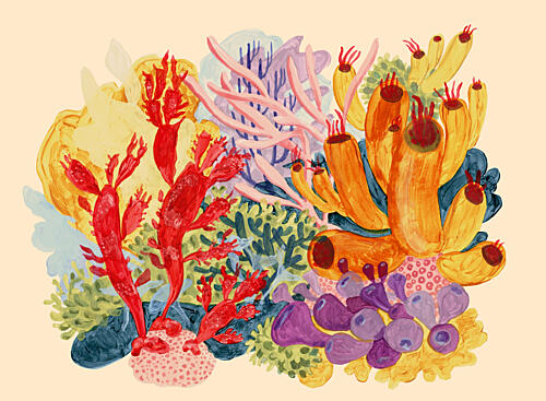 Vibrant Coral Reef Nature reproduction