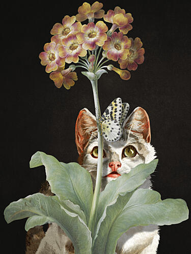 Feline Focus Art nouveau reproduction
