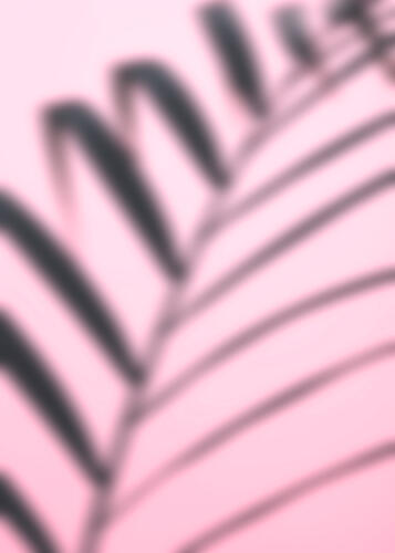 Soft Pink Palm Shadow Art Print by Pictufy Studio III