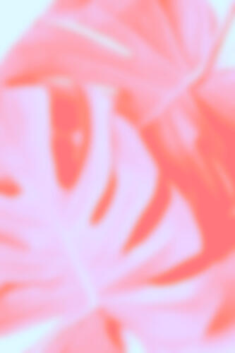 Dreamy Pink Foliage Art Print by Pictufy Studio III