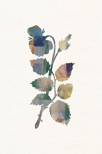 Abstract Watercolor Rose Art Print by Wild Violets