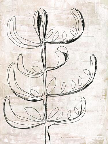 Organic Botanical Sketch Art Print by Annick