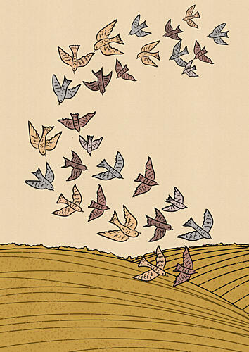 Flock Above Golden Fields Art Print