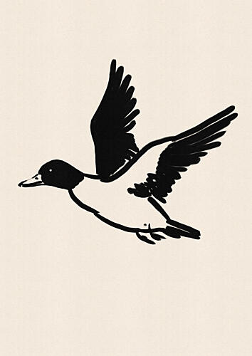 Flying Duck Sketch Art Print by Nicholas