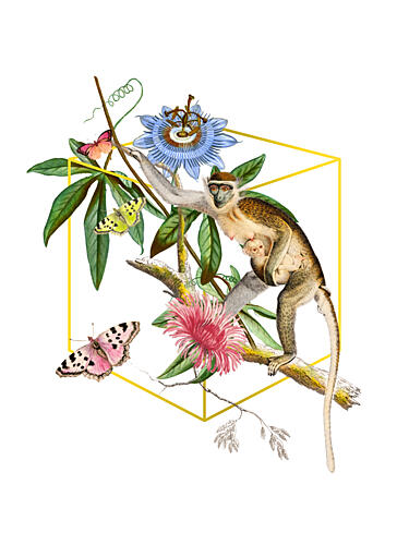 Mother Monkey Tropical Bloom Doré reproduction