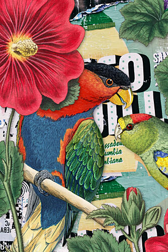 Tropical Parrot Collage Animaux reproduction