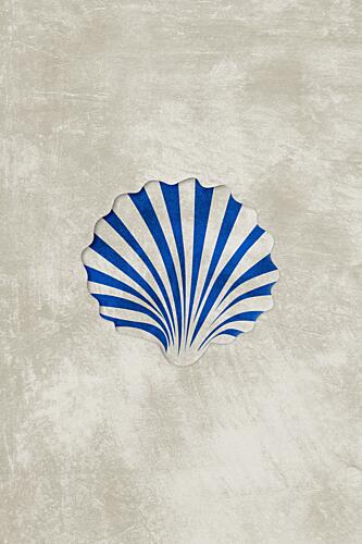 Blue Striped Scallop Art Print by Ema Paraschiv