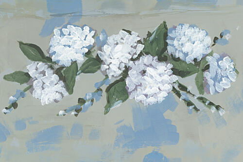Soft White Hydrangeas Art Print