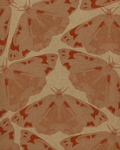 Earthy Moth Pattern Art Print by Josie George