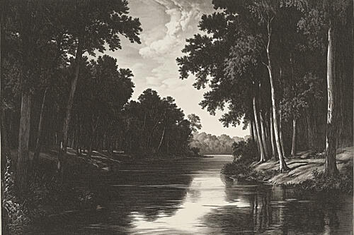 Serene Forest River Art Print by Pictufy Studio Iv