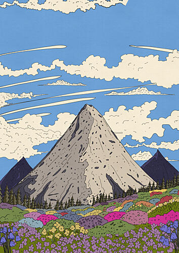 Vibrant Mountain Flower Fields Montagne reproduction