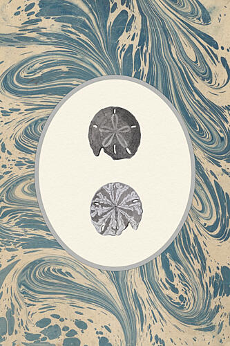 Sand Dollar Ocean Swirl Plage reproduction