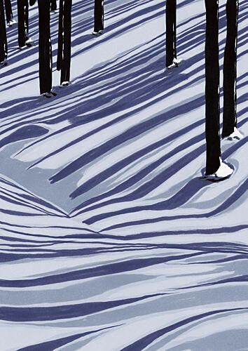 Winter Forest Shadows Art Print