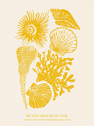 Golden Mediterranean Shells Art Print by Claudia Spano