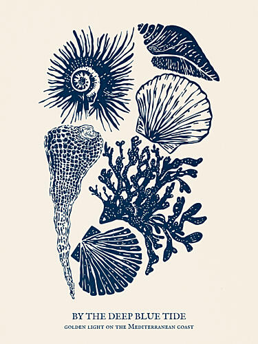 Mediterranean Marine Study Art Print by Claudia Spano