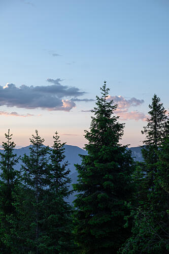 Twilight Forest Peaks Montagne reproduction