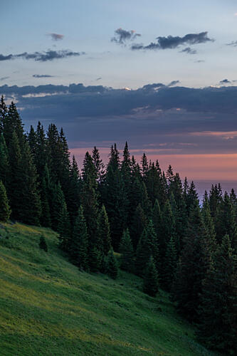 Twilight Mountain Forest Montagne reproduction