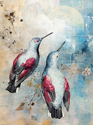 Dreamy Hummingbird Pair Art Print by Marja van den Hurk