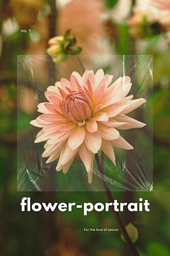 Soft Peach Dahlia Art Print by Marianne Bassil