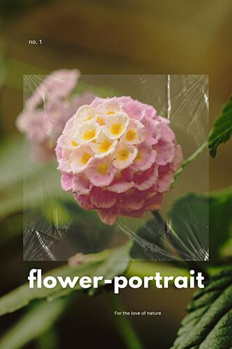 Natures Pink Portrait Art Print