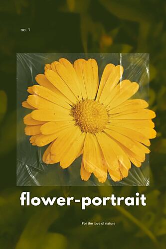 Yellow Flower Portrait Art Print by Marianne Bassil