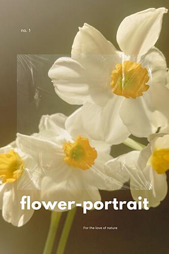 Daffodils Art Print by Marianne Bassil