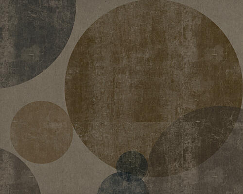 Muted Geometric Circles Art Print by David George