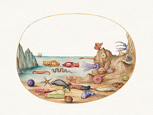 Mysterious Beach Creatures Plage reproduction