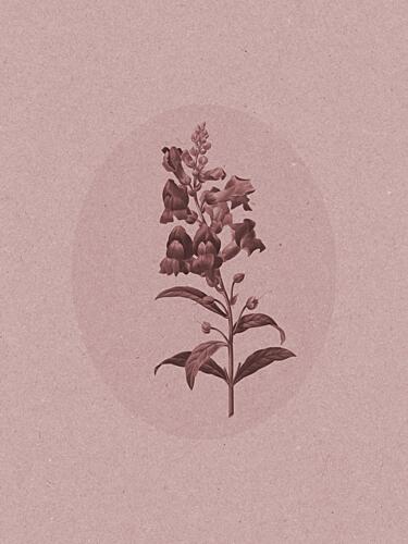 Elegant Botanical Study Art Print by Wild Violets