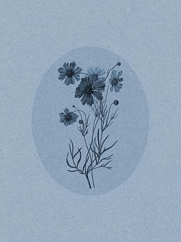 Delicate Blue Flowers Art Print by Wild Violets