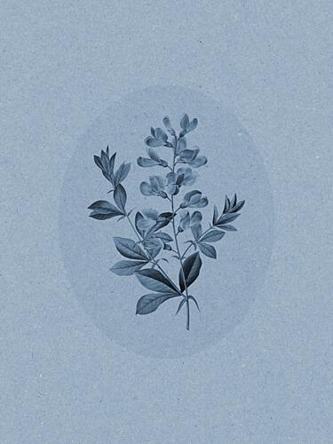 Serene Blue Botanical Art nouveau reproduction