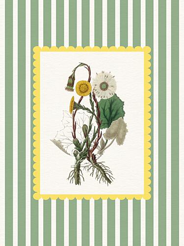 Spring Botanical Stripes Art Print