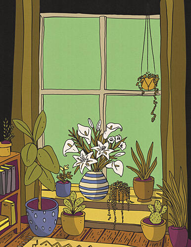 Cozy Plant Window Art Print by Nicholas