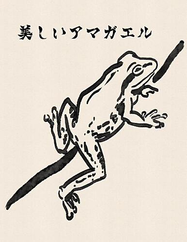Beautiful Tree Frog Art Print by Nicholas