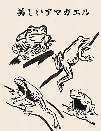 Beautiful Japanese Frogs Art japonais reproduction