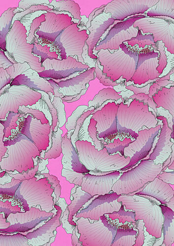 Vibrant Pink Peonies Art Print by Nicholas