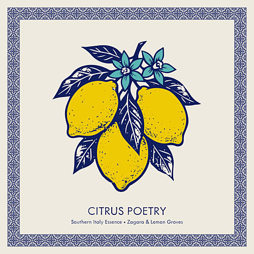 Lemon Tree Blooms Art Print by Claudia Spano