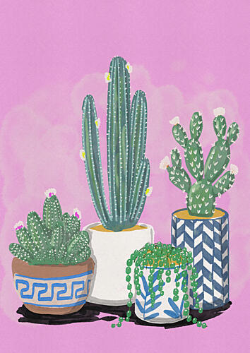 Blooming Potted Cacti Art Print by Nicholas