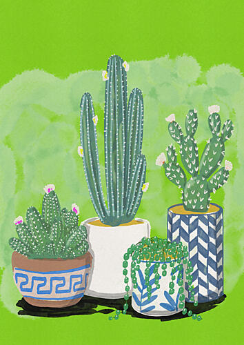 Potted Cactus Garden Nature morte reproduction