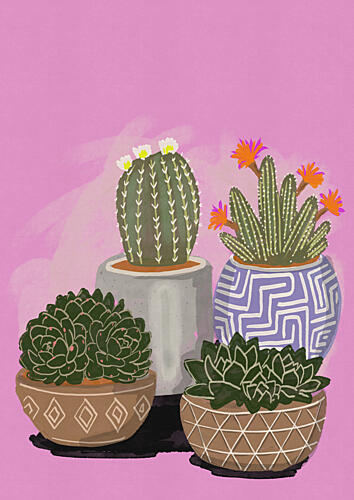 Colorful Cacti and Succulents Art Print by Nicholas