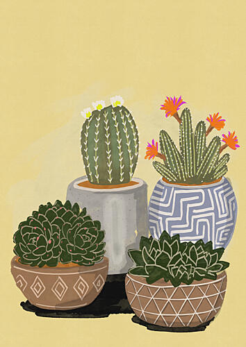 Potted Desert Garden Nature morte reproduction