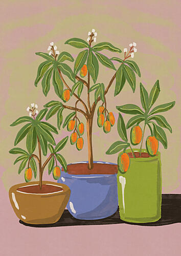 Vibrant Kumquat Plants Nature reproduction