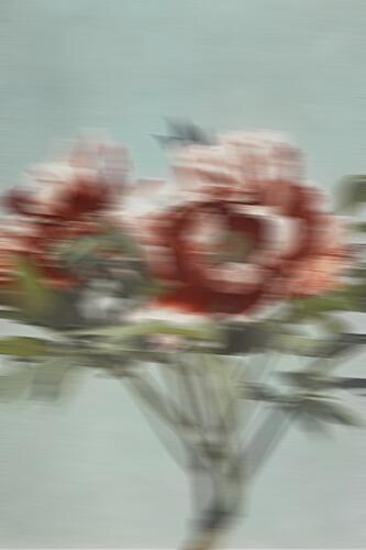 Blushing Floral Dream Art Print