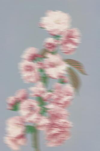 Dreamy Pink Flowers Art abstrait reproduction