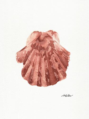 Pink Scallop Seashell Art Print by NKTN