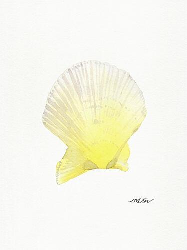 Sunny Scallop Shell Art Print by Nktn