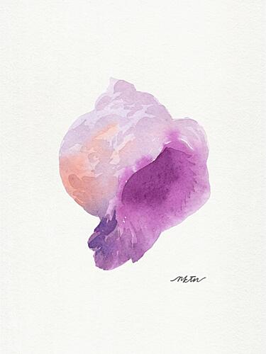 Purple Seashell Watercolor Nature reproduction