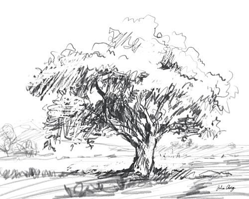 Rustic Tree Drawing Art Print by Julia Cheney